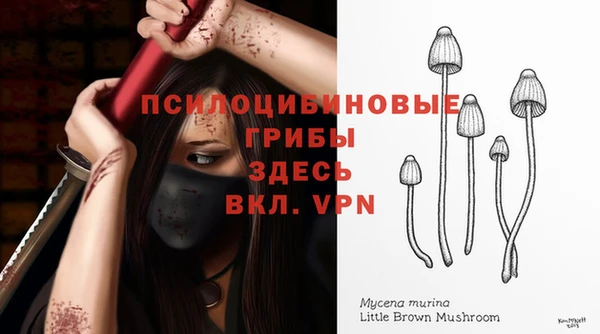 гидропоника Арсеньев