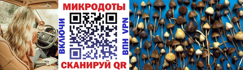 Галлюциногенные грибы Psilocybine cubensis  даркнет сайт  Стрежевой 