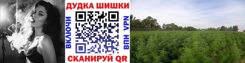 хочу   Стрежевой  Канабис конопля 